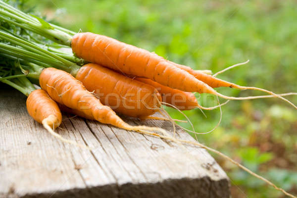 Fresh carrot Stock photo © All32