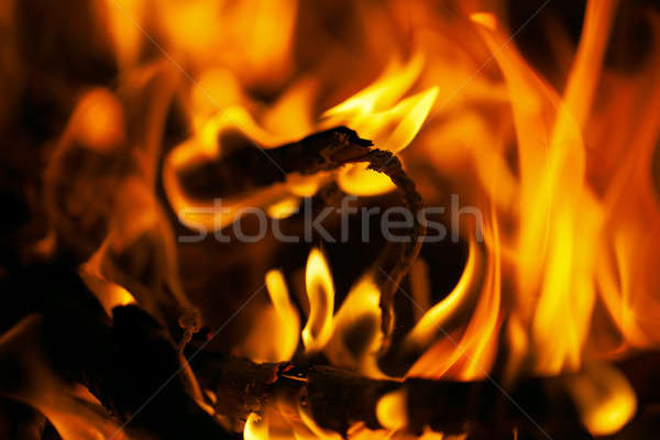 Flames. Stock photo © All32