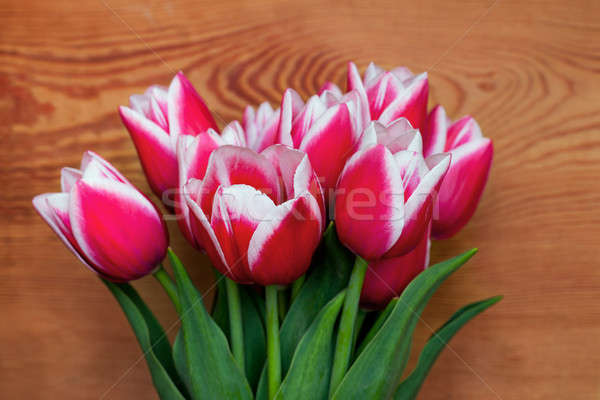 Bouquet of beautiful tulips Stock photo © All32