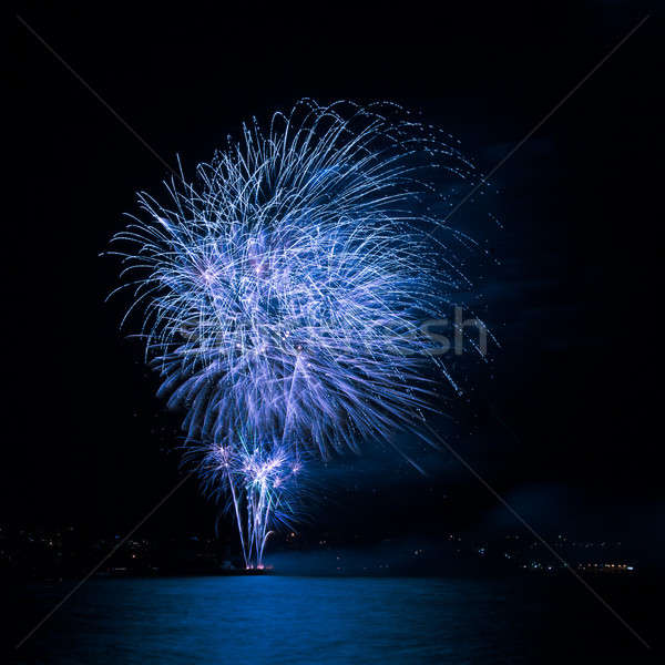 Fireworks in the night sky Stock photo © All32