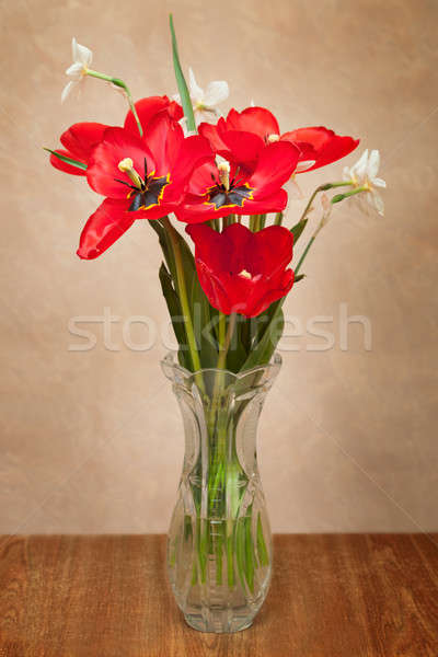 Bouquet of red tulips and daffodils Stock photo © All32