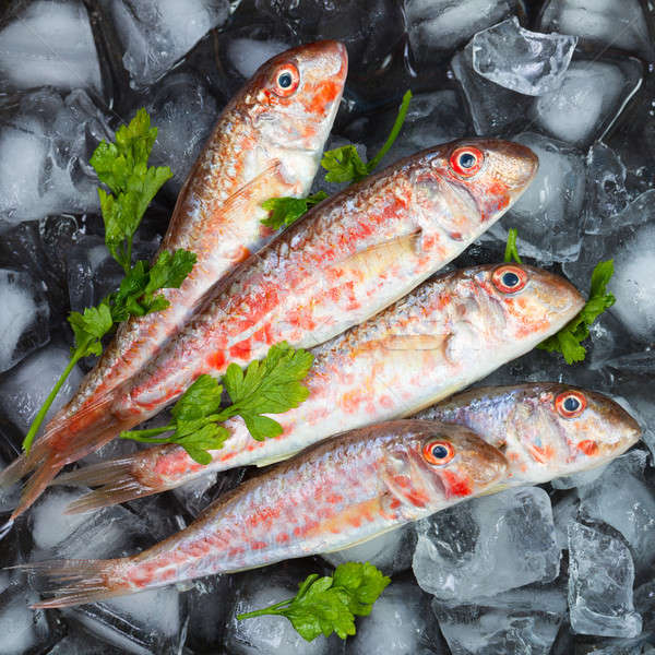 商业照片: 新鲜 ·鱼·出·件·冰· 草药
