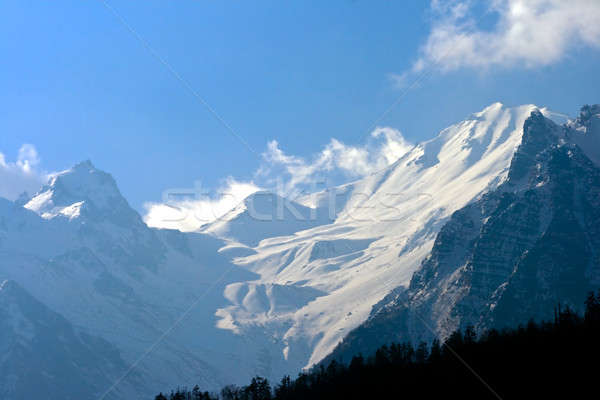 Montagnes Népal arbre lumière montagne glace [[stock_photo]] © All32