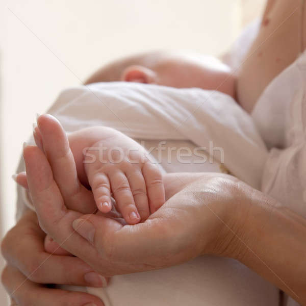 Hand baby palm moeder vrouw familie Stockfoto © All32