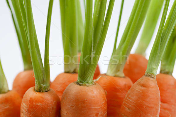 Carrots Stock photo © All32