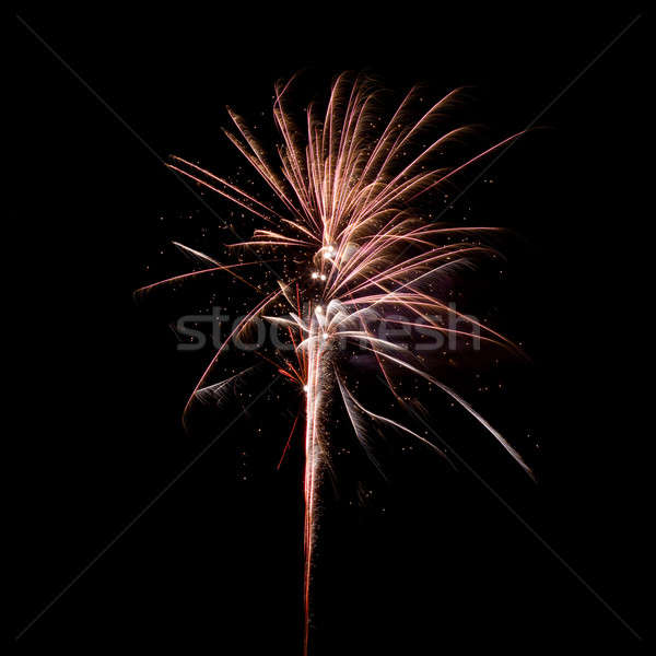 Fireworks Stock photo © All32