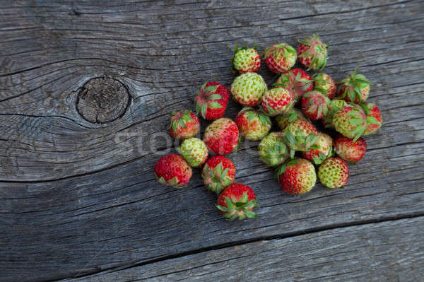 Wild strawberries Stock photo © All32