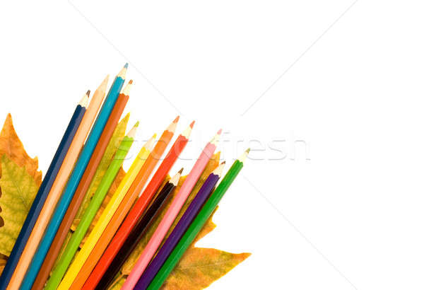 Color pencil with autumnal leaf. Stock photo © All32