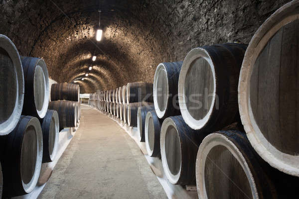 Piwnica na wino wina drewna grupy przemysłu ciemne Zdjęcia stock © All32