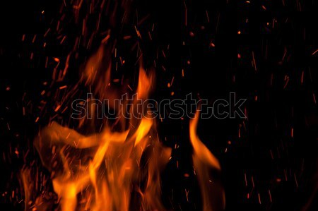 The flames Stock photo © All32