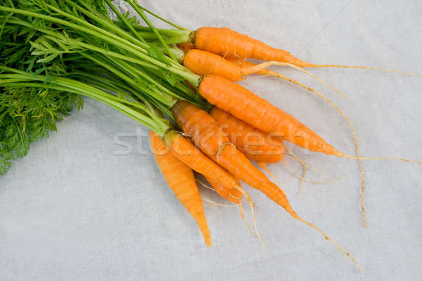 Fresh carrot  Stock photo © All32