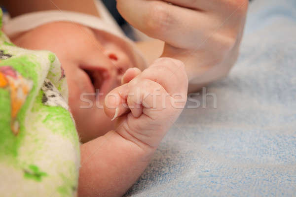 Baby sleeps and holding mother's hand Stock photo © All32