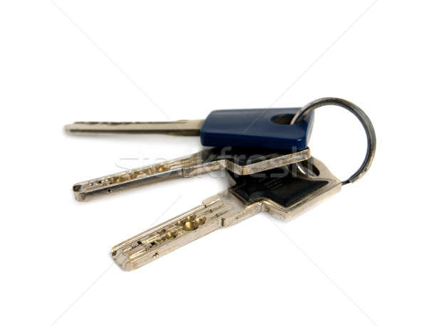 Bunch of keys. Isolated on white background. Stock photo © All32