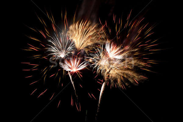 Beautiful fireworks Stock photo © All32