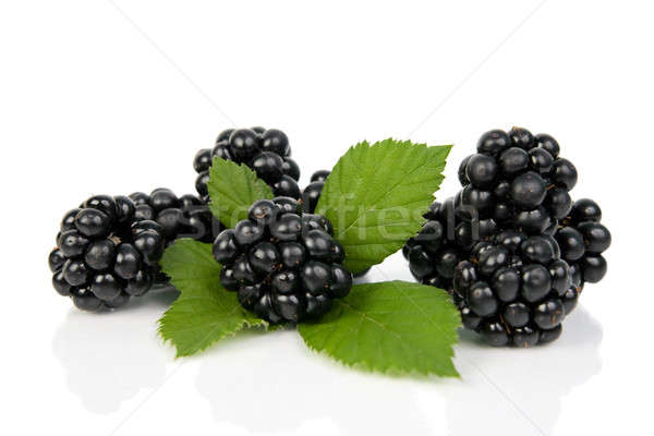 Stock photo: Blackberries with green leaves.