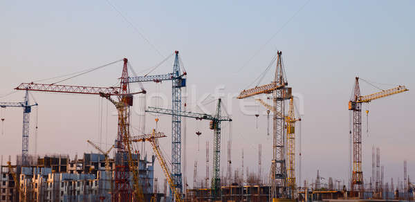 Construction cranes Stock photo © All32