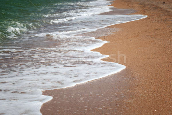 Hullámok homokos tengerpart habos víz absztrakt tenger Stock fotó © All32
