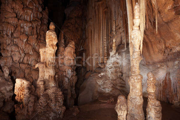 Stone columns in a cave Stock photo © All32