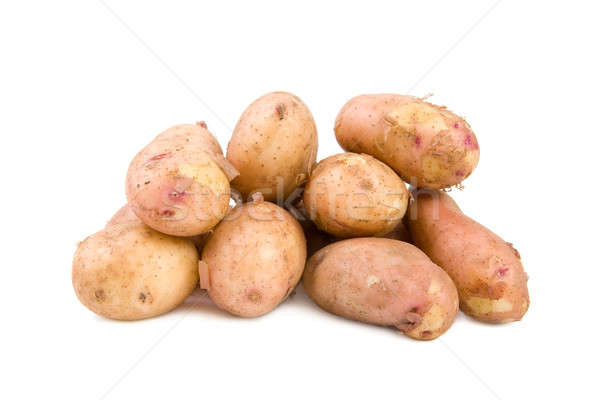 Young potatoes Stock photo © All32