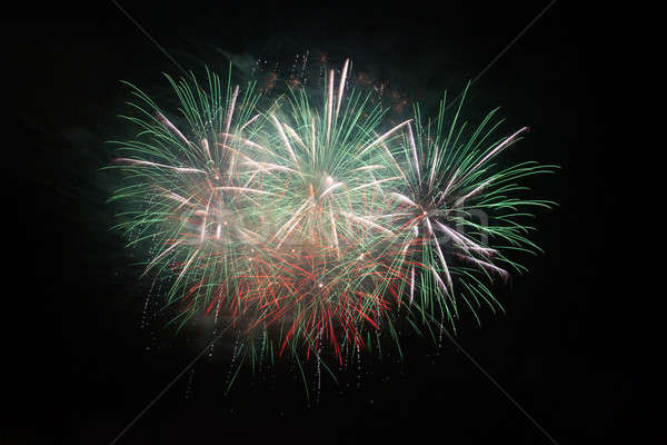 Fireworks in the night sky Stock photo © All32
