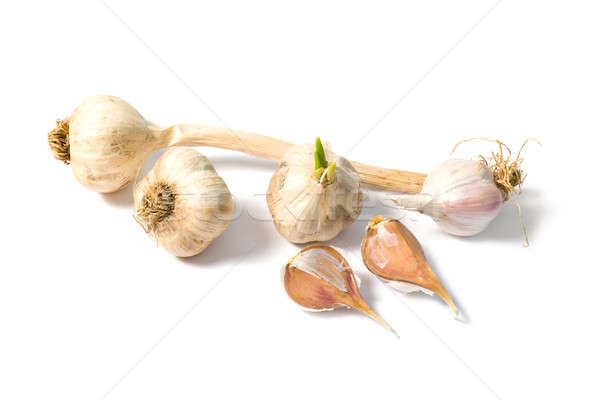 чеснока изолированный белый здоровья еды специи Сток-фото © All32