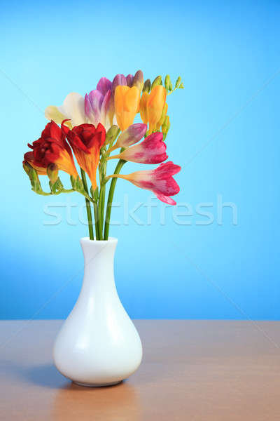 Bella fiori bianco vaso tavola blu Foto d'archivio © All32