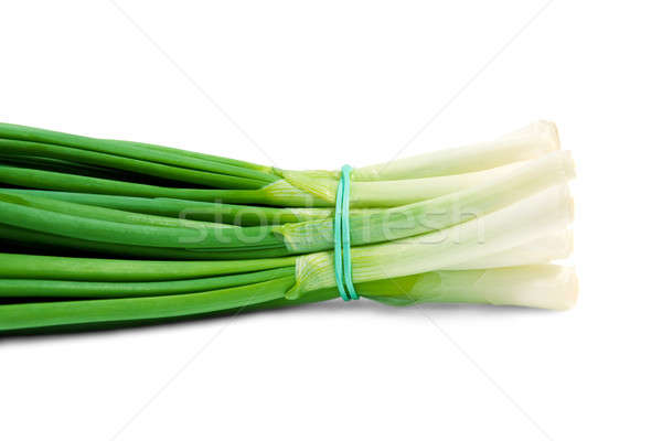 Bunch green onions.  Stock photo © All32