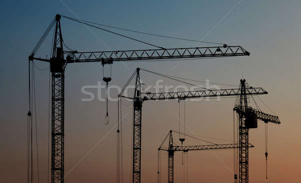 Construction cranes Stock photo © All32