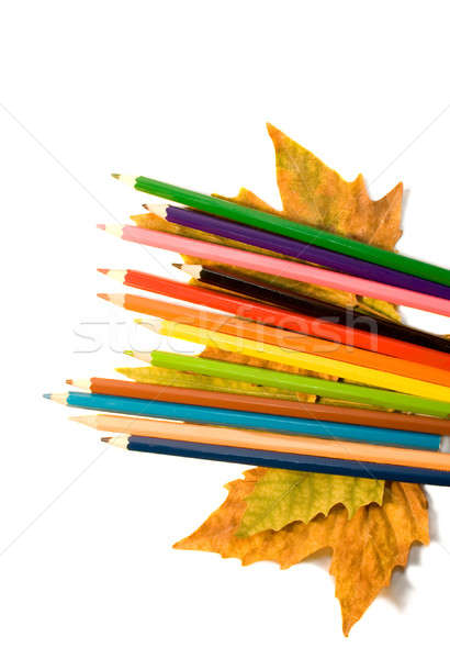 Color pencil with autumnal leaf. Stock photo © All32