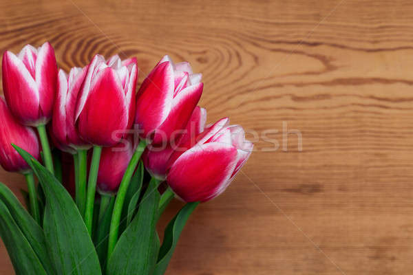 Tulips in the background of the board of wood  Stock photo © All32