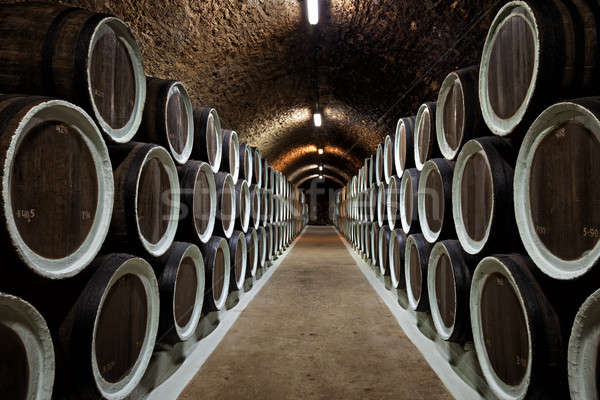 Cave à vin vin bois groupe industrie sombre Photo stock © All32
