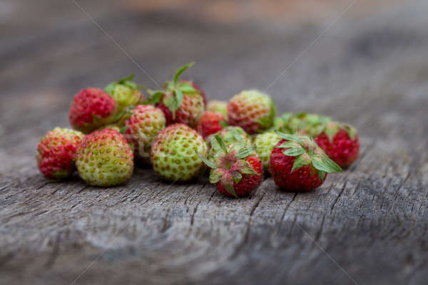 Wild strawberries Stock photo © All32