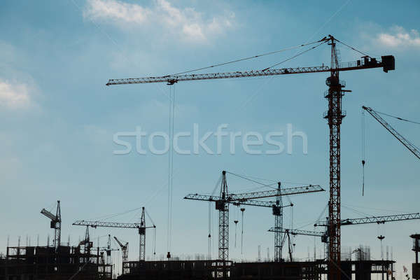 Construction cranes Stock photo © All32
