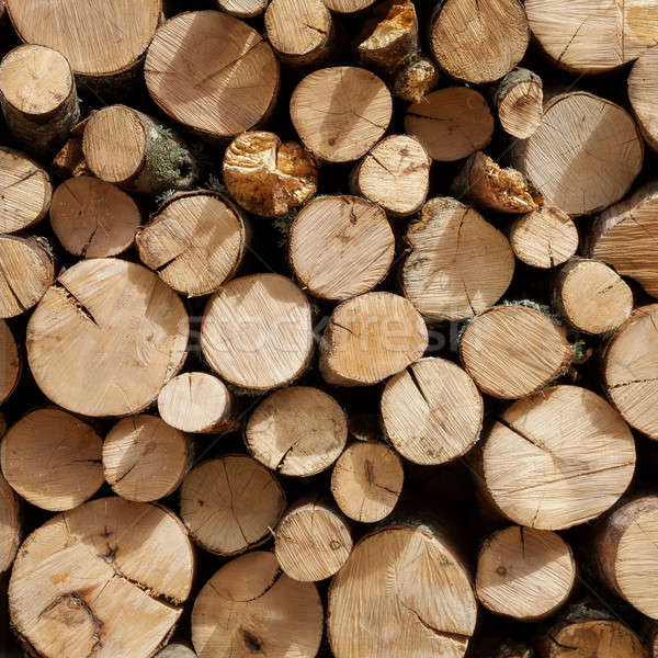 [[stock_photo]]: Bois · de · chauffage · texture · arbre · feu · forêt