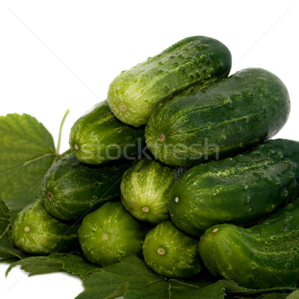 Cucumbers.  Stock photo © All32