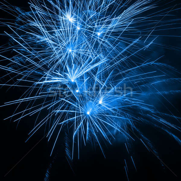 Fireworks in the night sky  Stock photo © All32