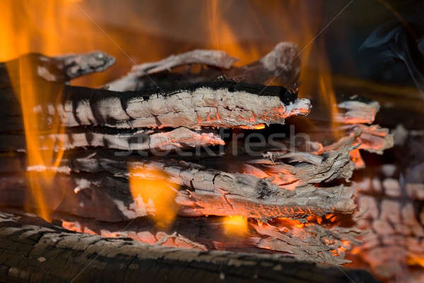 Fire and carbons Stock photo © All32