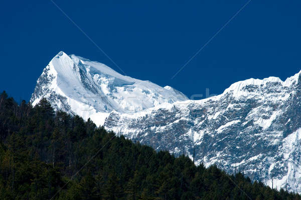 Tibetan mountains Stock photo © All32