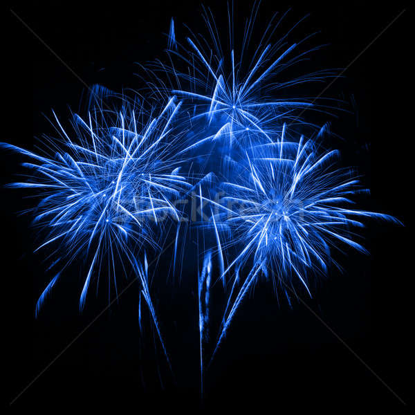 Fireworks in the night sky  Stock photo © All32