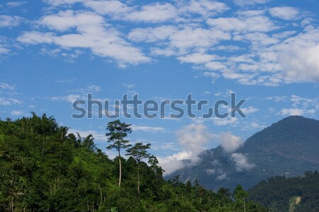 природного пейзаж горные лес Blue Sky облака Сток-фото © All32