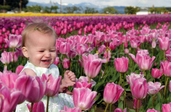 Baby rosa tulipani luminoso tardi Foto d'archivio © allihays