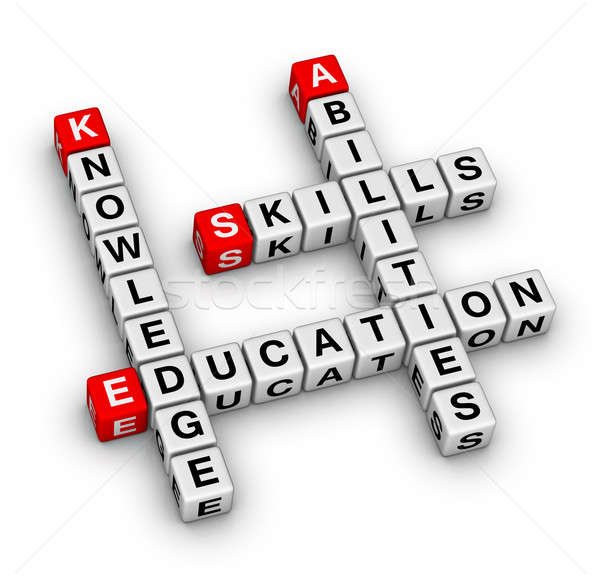 Skills, Knowledge, Abilities, Education Stock photo © almagami