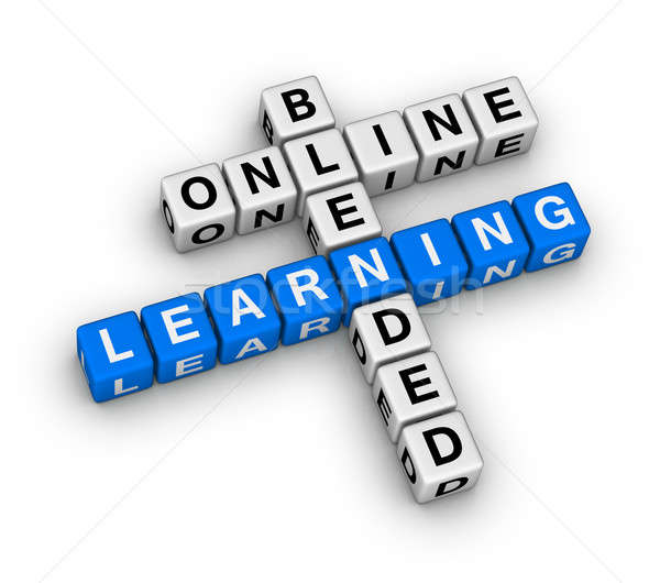 online blended learning Stock photo © almagami