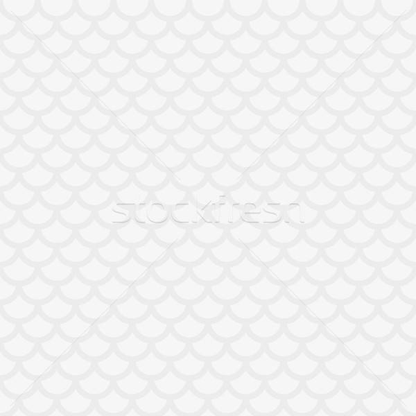 Vis schaal witte neutraal moderne Stockfoto © almagami
