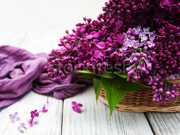 Lilac flowers Stock photo © almaje