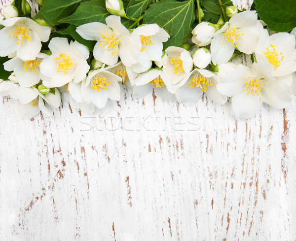 Border with jasmine flowers Stock photo © almaje
