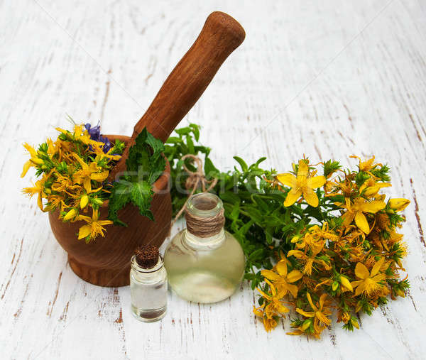 Tutsan flowers  and natural oil Stock photo © almaje