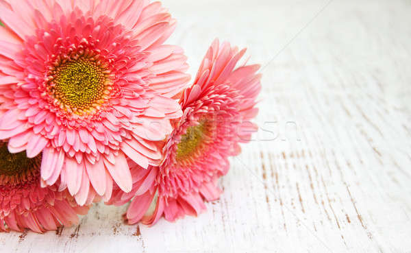 Stock foto: Rosa · Gänseblümchen · Blumen · alten · Holz · Blume