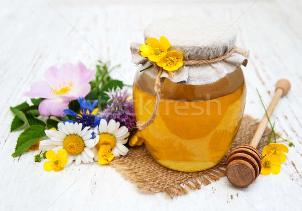 蜂蜜 野花 木 花 性質 表 商業照片 © almaje