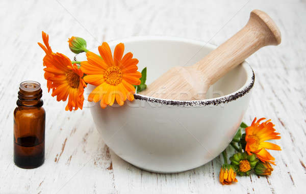 flower of calendula officinalis in mortar Stock photo © almaje